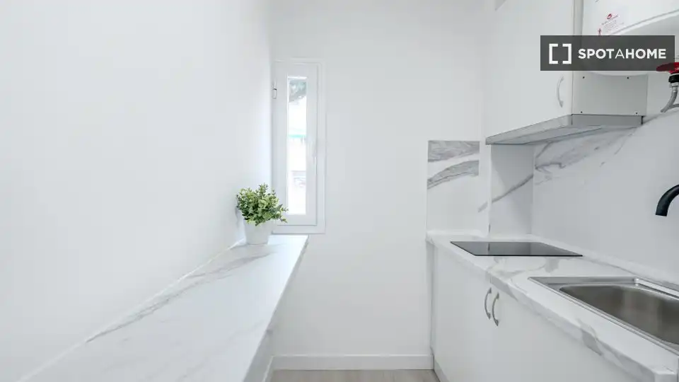 Kitchen of Flat for rent in Madrid  with Air Conditioner, Heating and Furnished