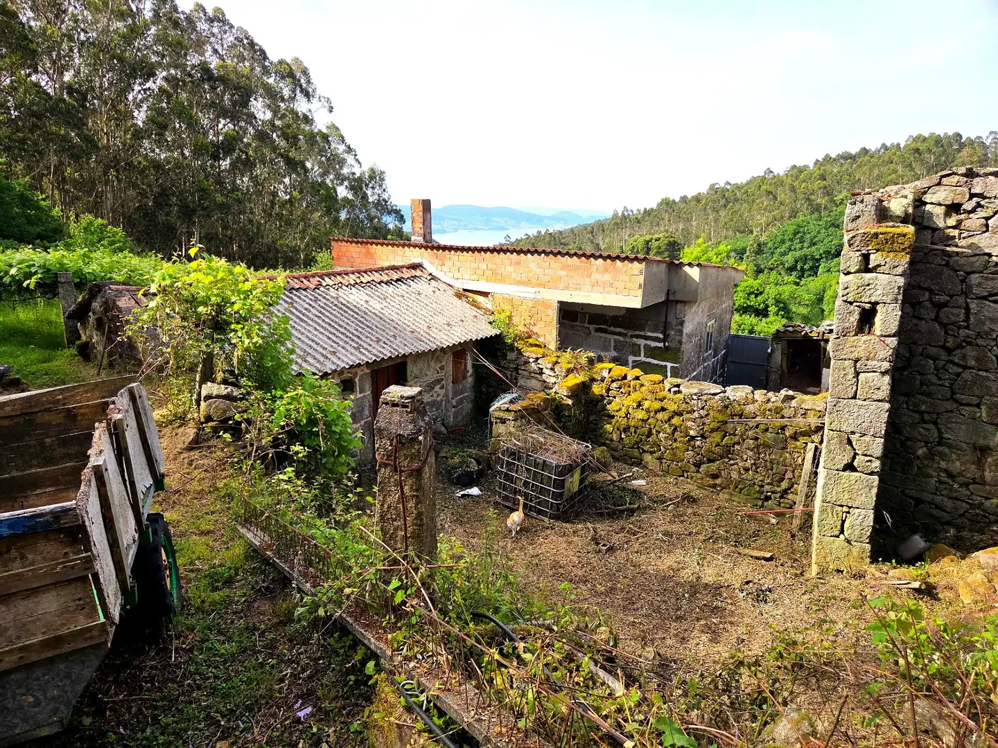 Finca rústica en venta en Meis con Jardín privado y Terraza