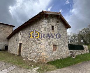 Vista exterior de Casa o xalet en venda en Valle de Manzanedo amb Jardí privat