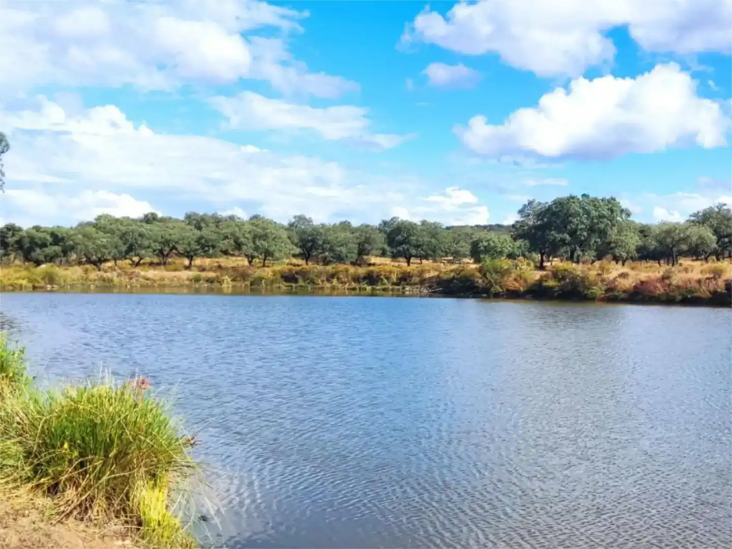 Terreno en venta en Santa Olalla del Cala