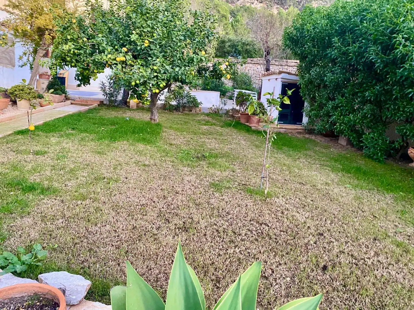 Adosado con piscina en venta en Carrer Carrer s'Estanyera, imagen 4
