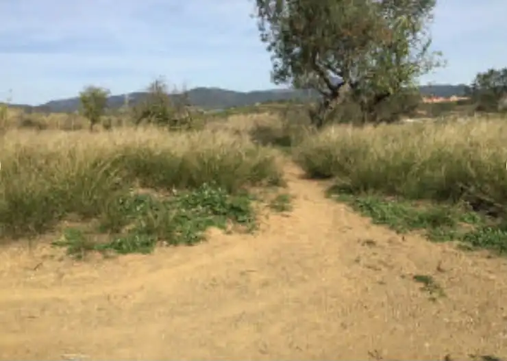Rural land for sale in Carrer de Sant Mateu, imagen 4