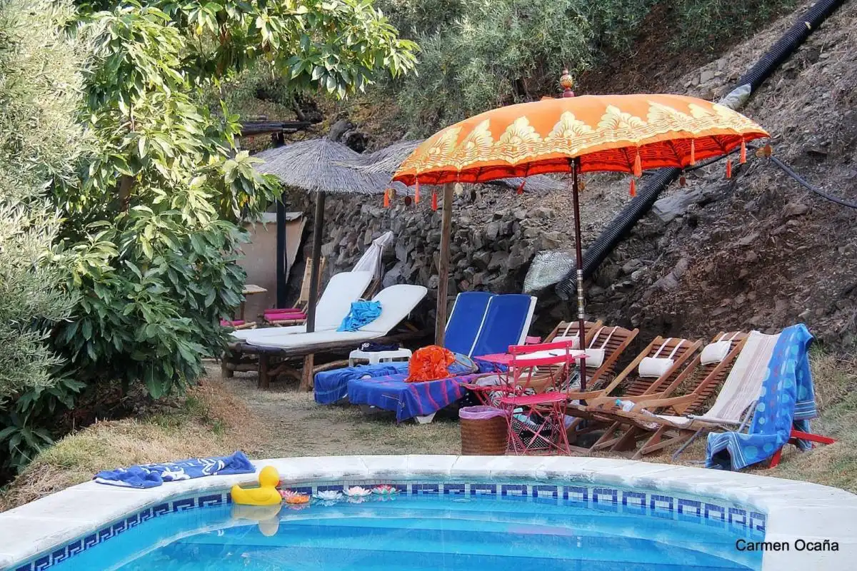 Finca rústica de alquiler en DS PAGO ALCAHUETE Polígono 12, Torrox Pueblo