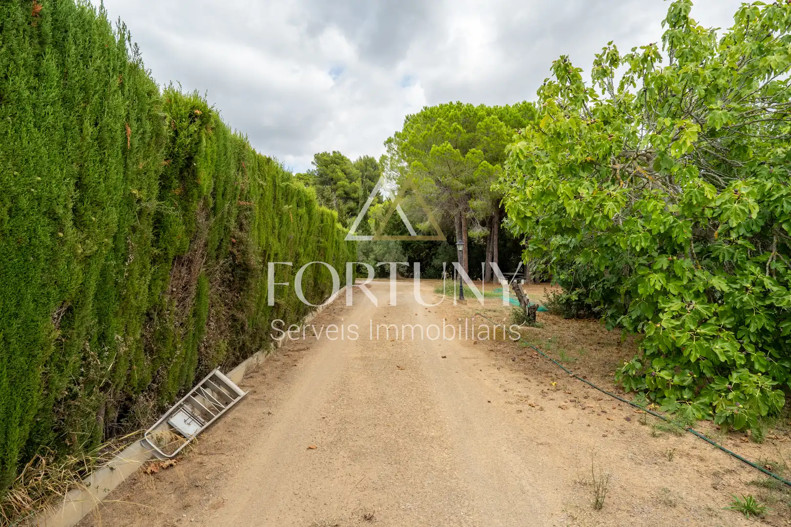House with pool for sale in Carrer del Tià, imagen 13