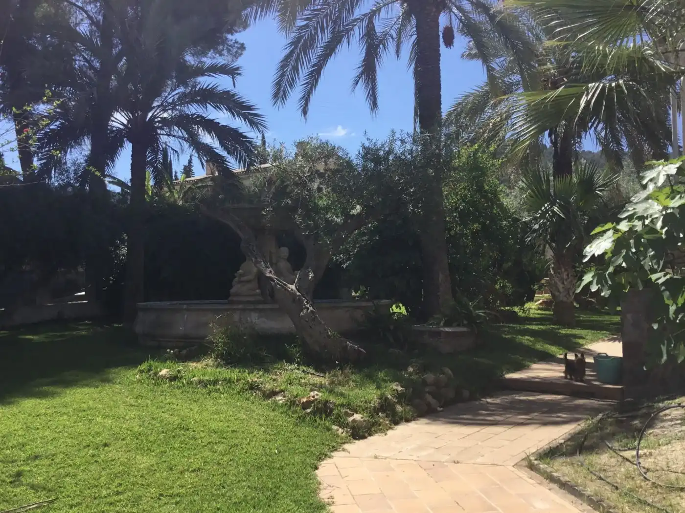 Jardín de Casa o chalet en venta en Murcia con Piscina y Amueblado