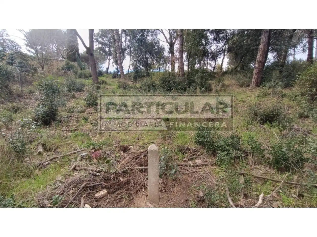 Terreny residencial en venda a Calle Joan Pau 15, imagen 19