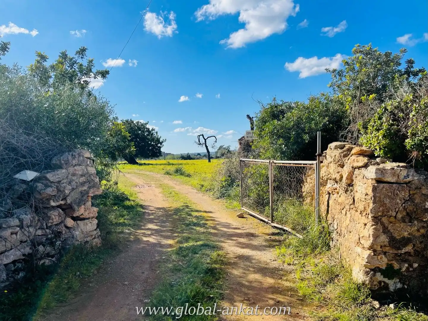 Finca rústica en venta en Manacor