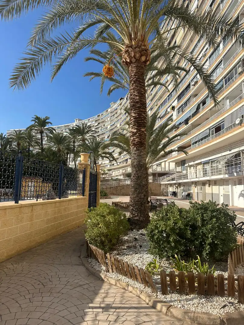 Vista exterior de Apartament en venda en Sant Joan d'Alacant amb Aire condicionat, Terrassa i Forn