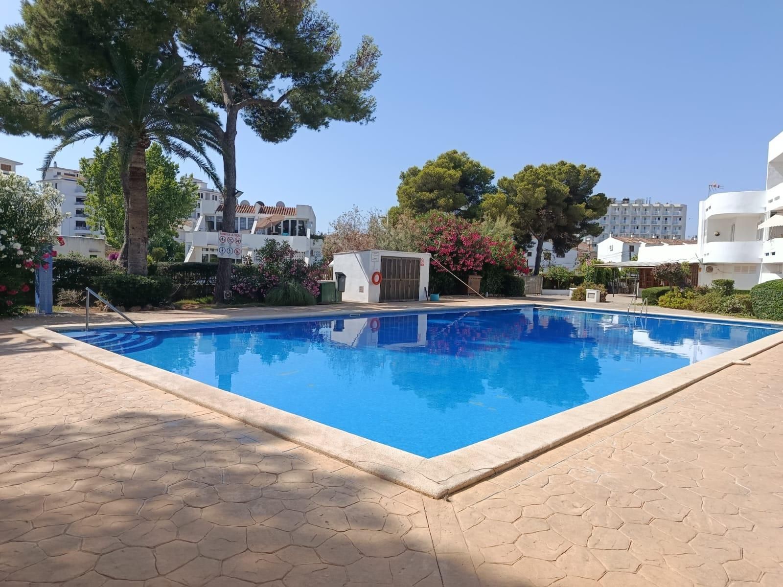 Swimming pool of Apartment to rent in Alcúdia  with Terrace