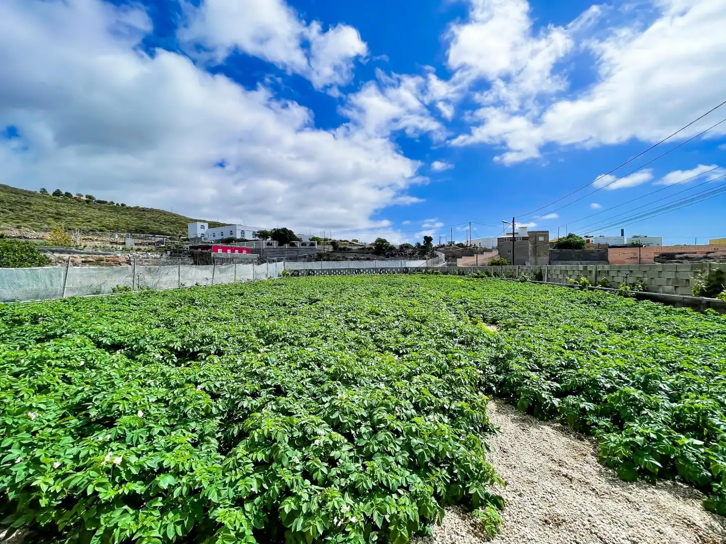 Casa o chalet en venta en Granadilla de Abona con Jardín privado, Terraza y Amueblado
