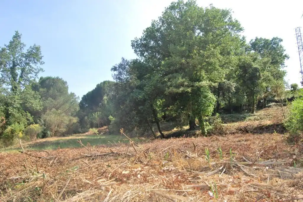 Terreny rústic en venda a Sant Celoni, imagen 17