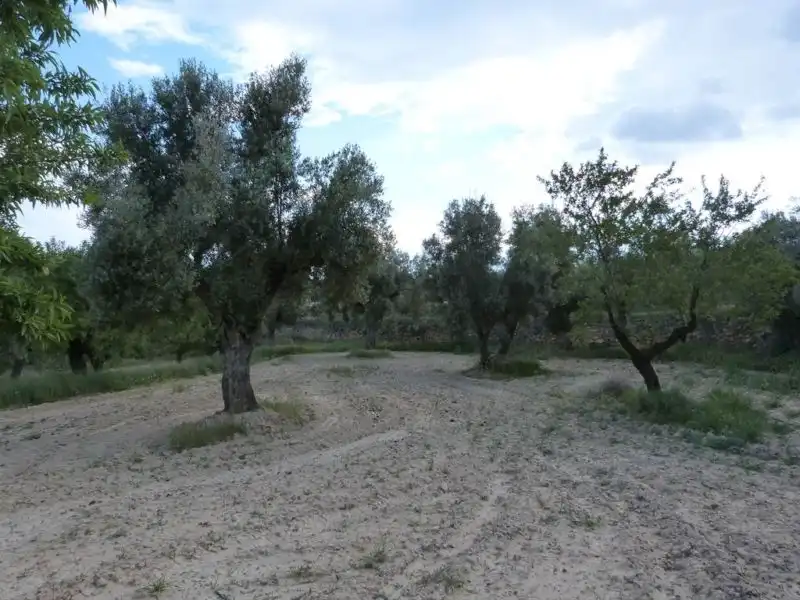 Country homes for sale in Valjunquera