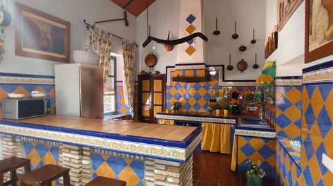 EN VENTA CORTIJO EN VILLANUEVA DEL REY ECIJA ( Sevilla)