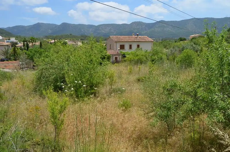 Rural land for sale in Calvià pueblo, imagen 5