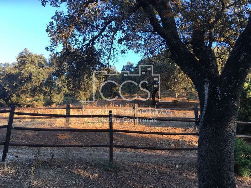 Finca rústica en venda en La Puebla de Cazalla amb Moblat