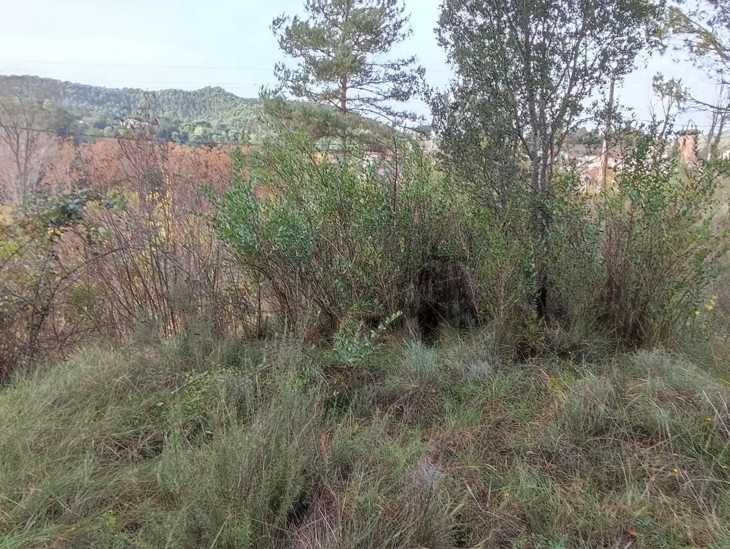 Terrain rustique à vendre à Monistrol de Calders, imagen 35