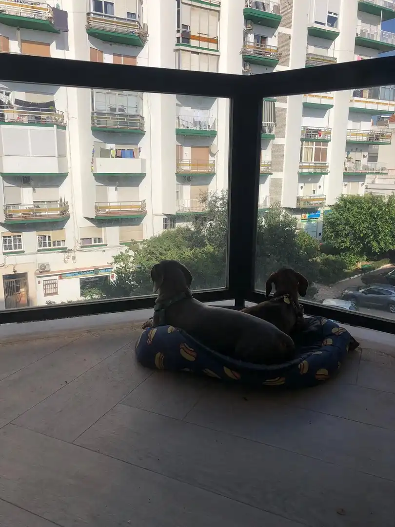 Terrasse von Wohnung zum Verkauf in Algeciras mit Klimaanlage
