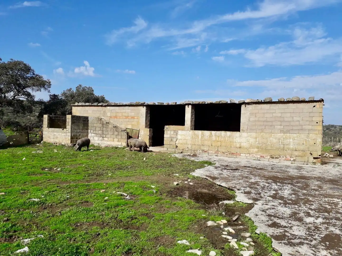 Rural land for sale in Fuente Obejuna, imagen 12