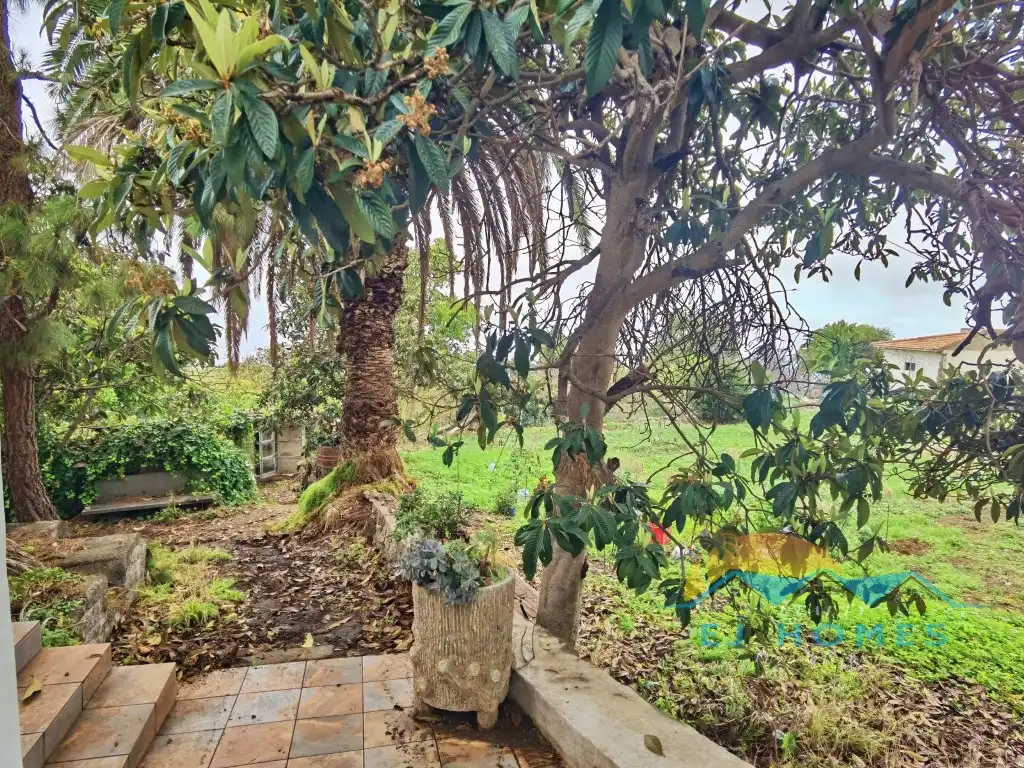 Garden of Houses for sale in La Orotava