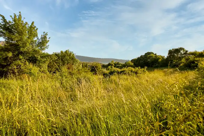 Land for sale in Jaca