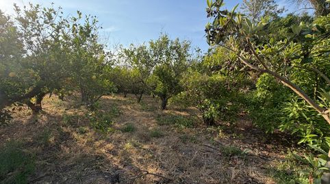 Foto 4 de Terreno en venta en Masanet, Casco urbano, Polop