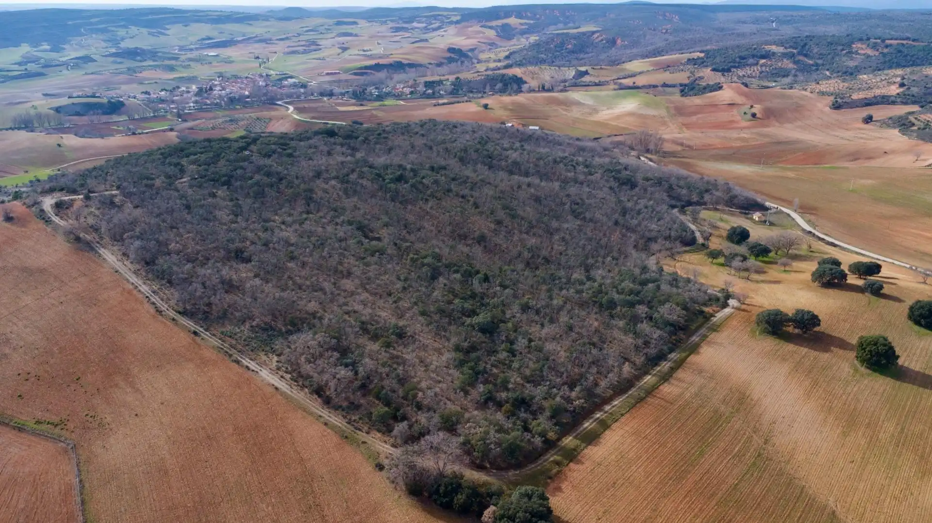 Land for sale in Arbancón