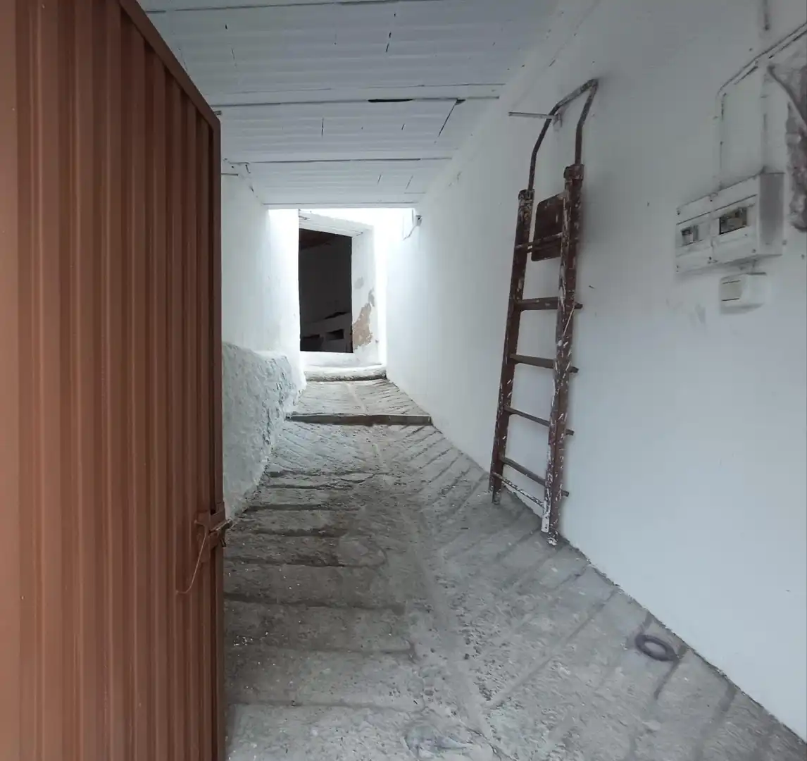 Finca rústica en venta en Canillas de Aceituno
