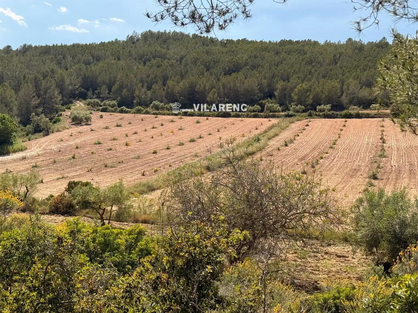 Rural land for sale in Massos de Vespella, imagen 32