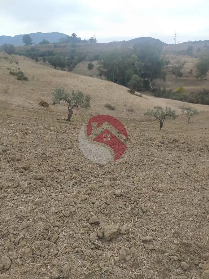 Terreno rústico en venta en Alquería - Torrealquería, imagen 8