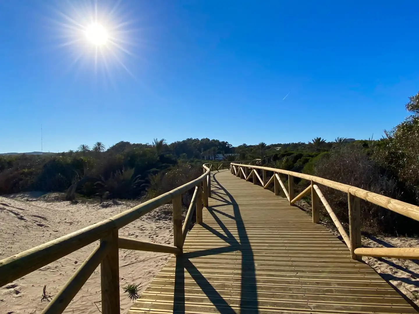 Vista exterior de Estudi en venda en Guardamar del Segura amb Terrassa, Moblat i Piscina comunitària