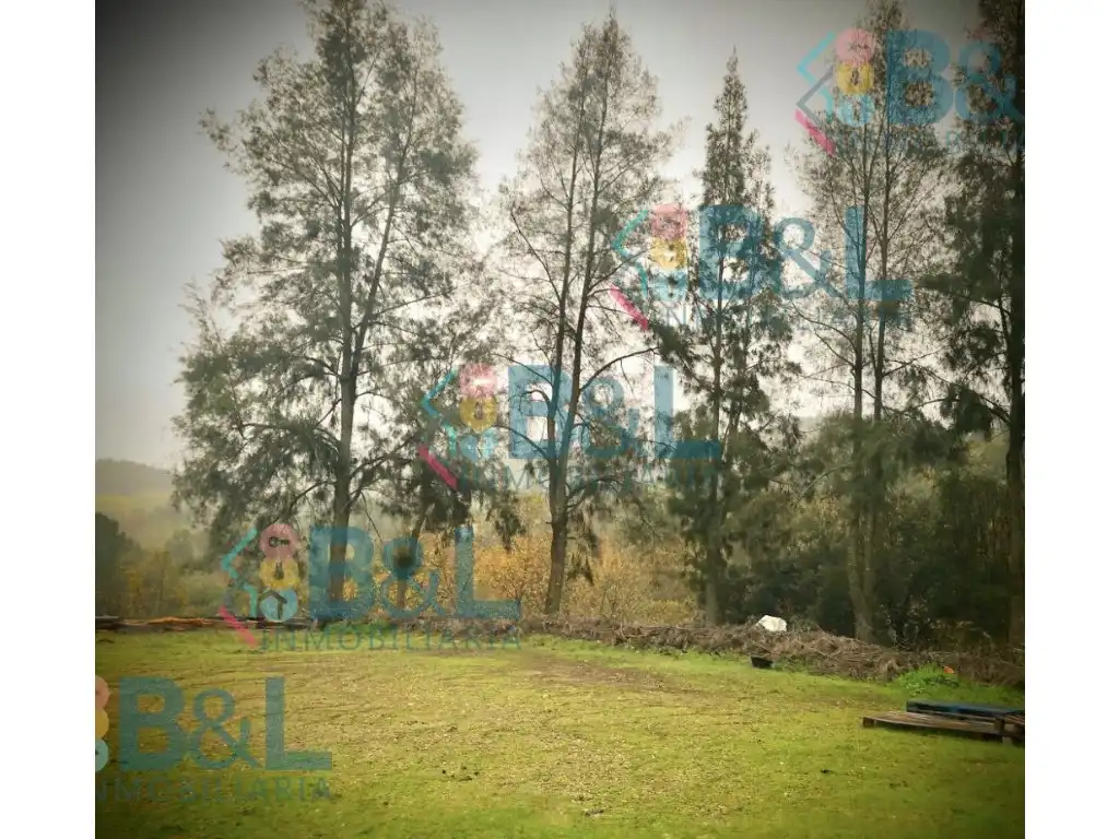 Casa o chalet en venta en Jabugo