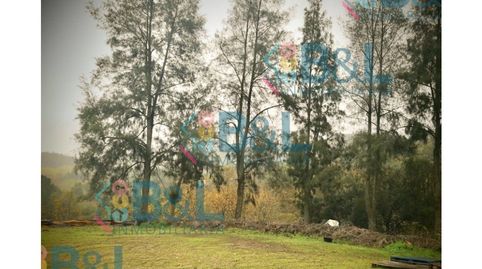 Foto 2 de Casa o xalet en venda a Jabugo, Huelva