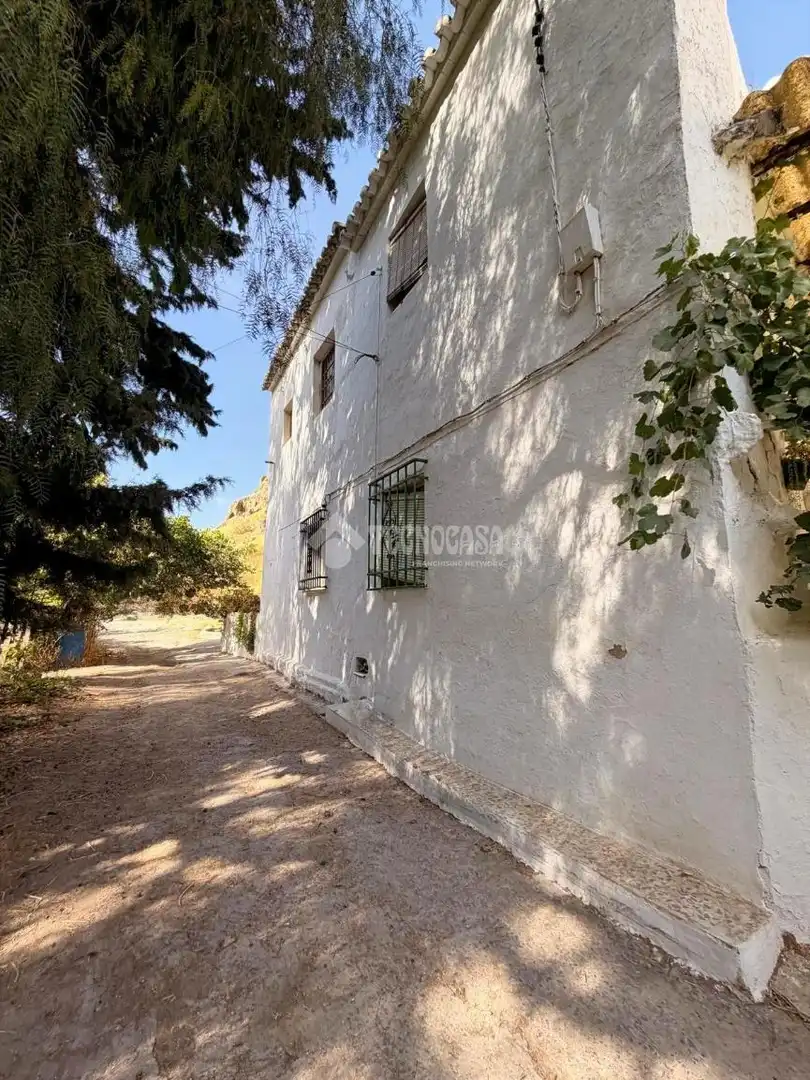 Vista exterior de Finca rústica en venda en Antequera