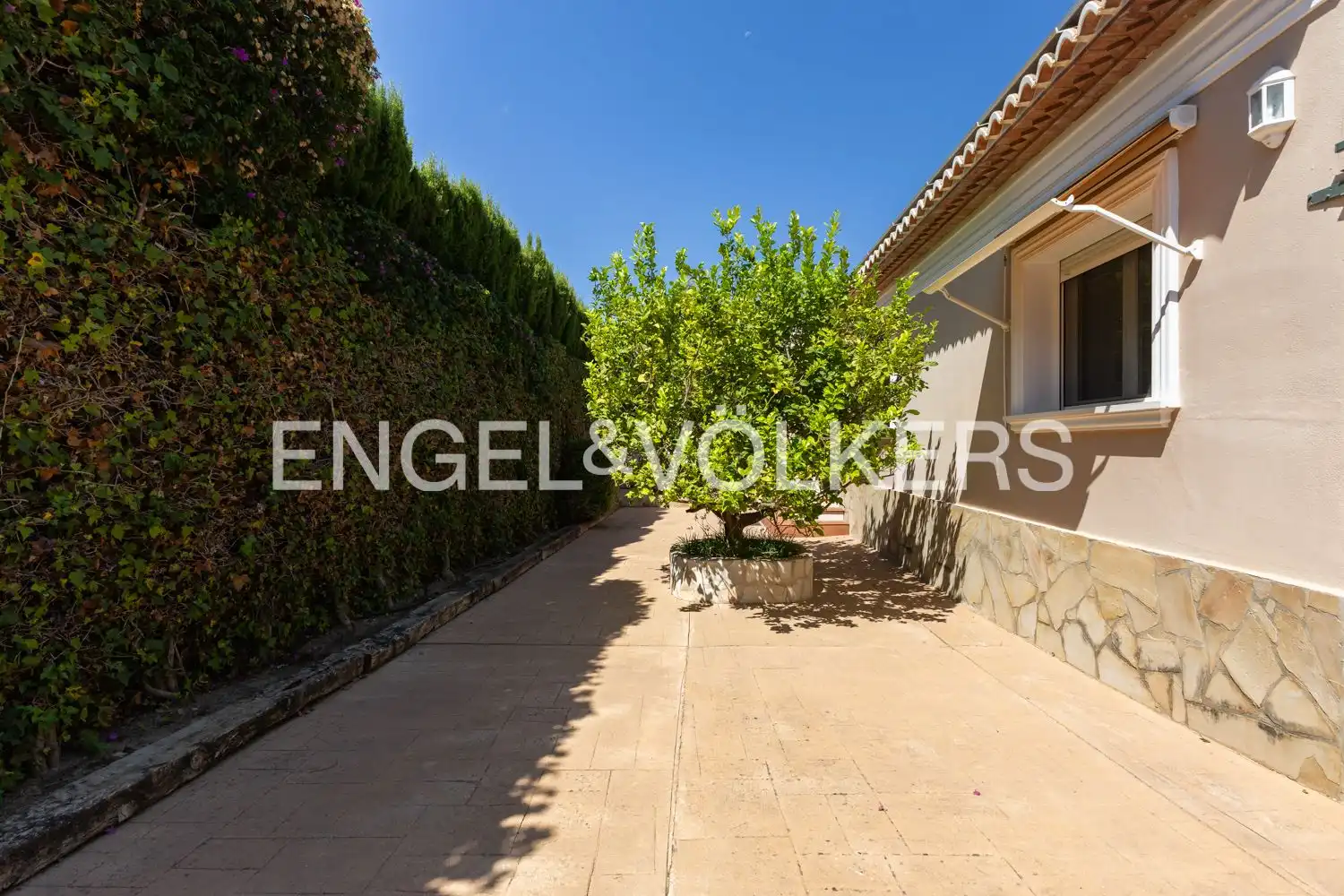 Terrassa de Casa o xalet en venda en Cap Martí - El Tossalet - Pinomar
