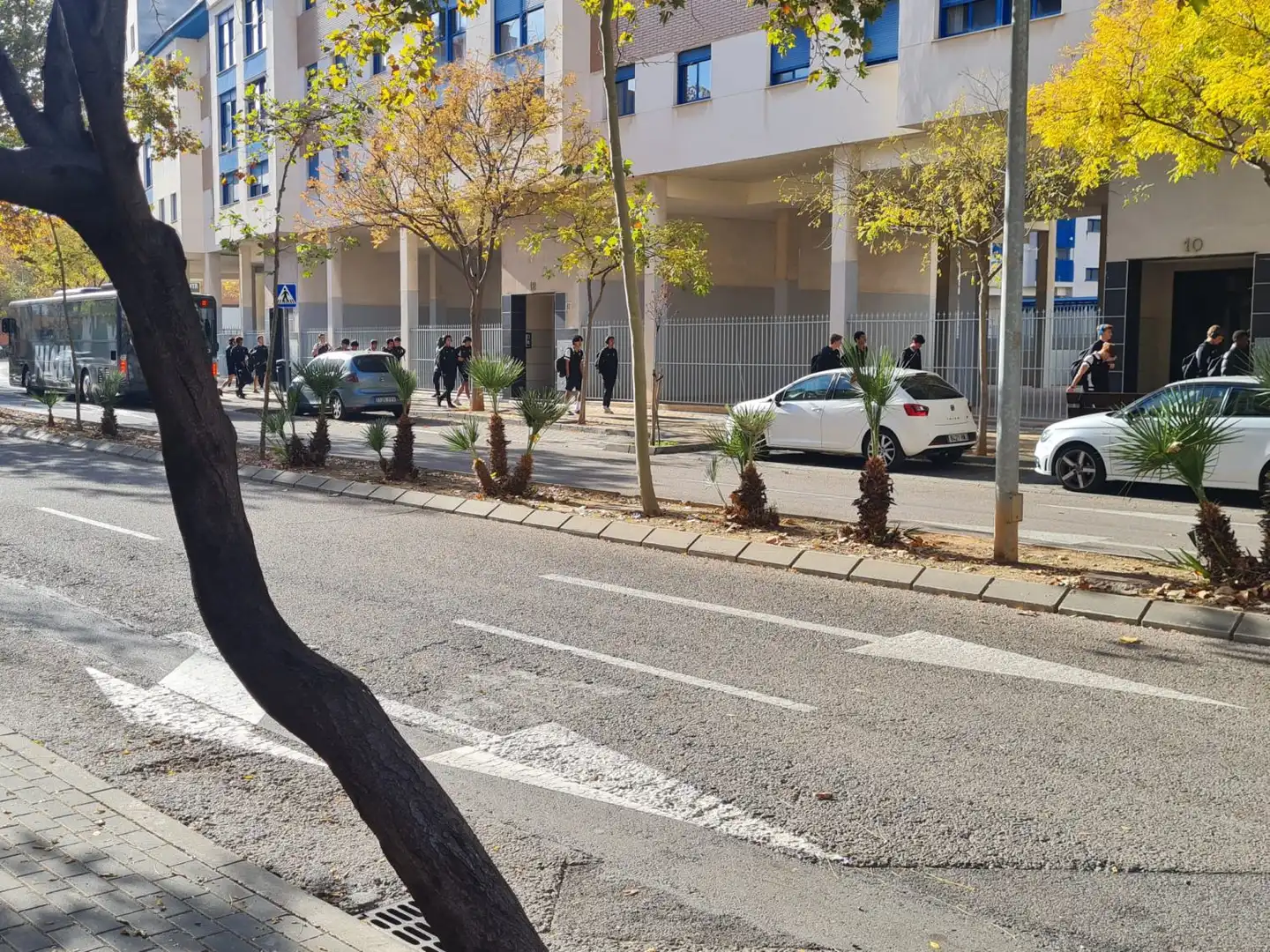 Business premises for transfer in Oeste, imagen 23