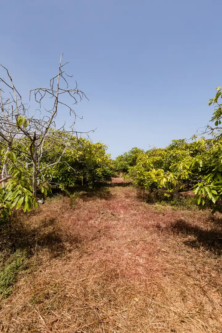 Country homes for sale in San Cristóbal de la Laguna  with Private garden, Terrace and Balcony