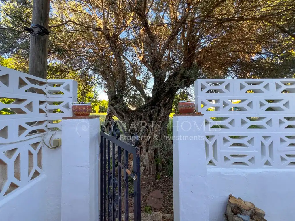 Garden of Detached homes for sale in Dénia