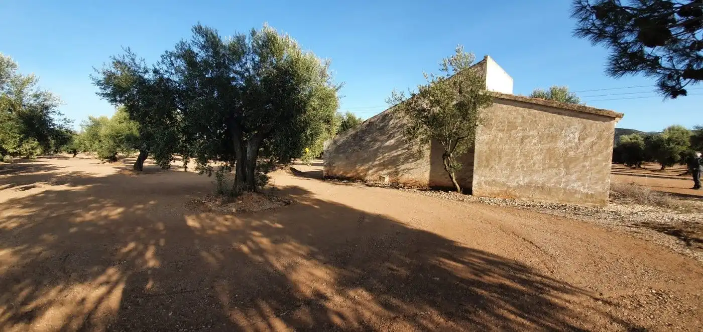 Terreno rustico in vendita a Carrer 2 Vila. Llarga, imagen 5