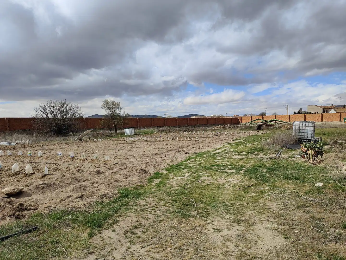 Lands and plots for sale in Corral de Almaguer, imagen 2