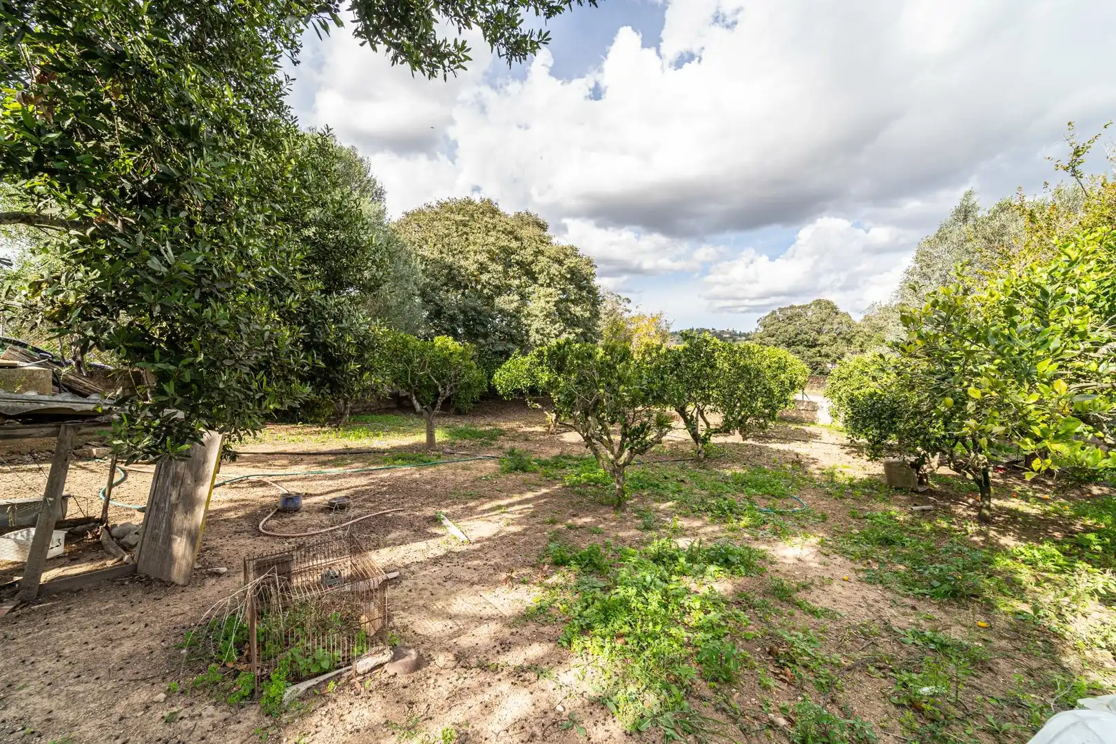 Maison rustique avec jardin à vendre à Son Servera Poble, imagen 25