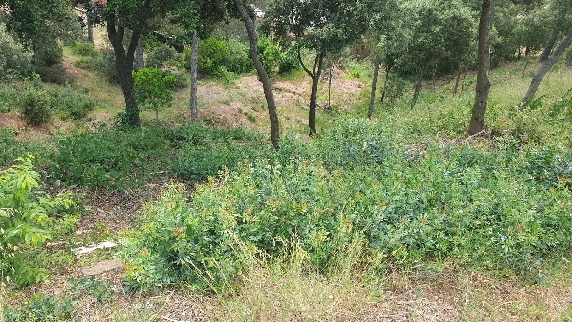 Residential for sale in Castellnou de Bages