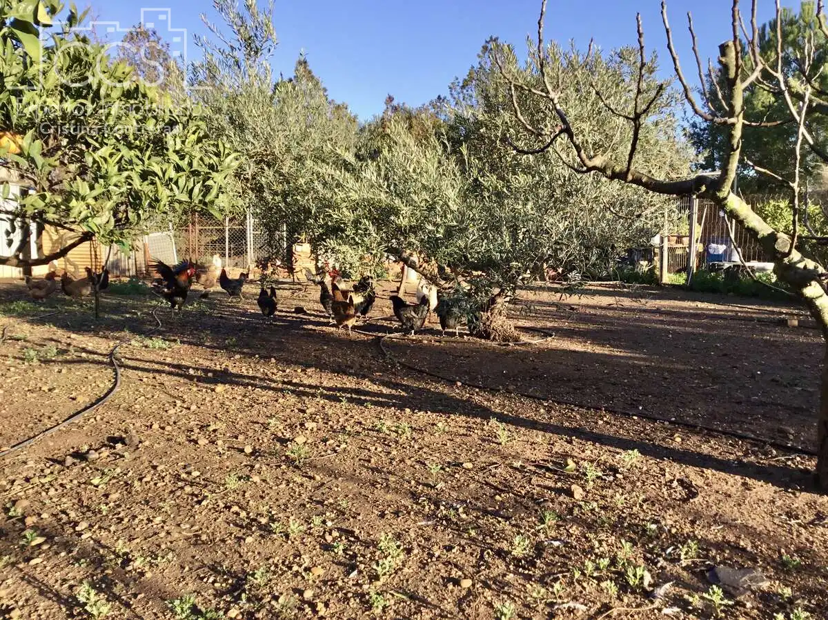 Jardí de Casa o xalet en venda en Sevilla amb Aire condicionat, Traster i Piscina