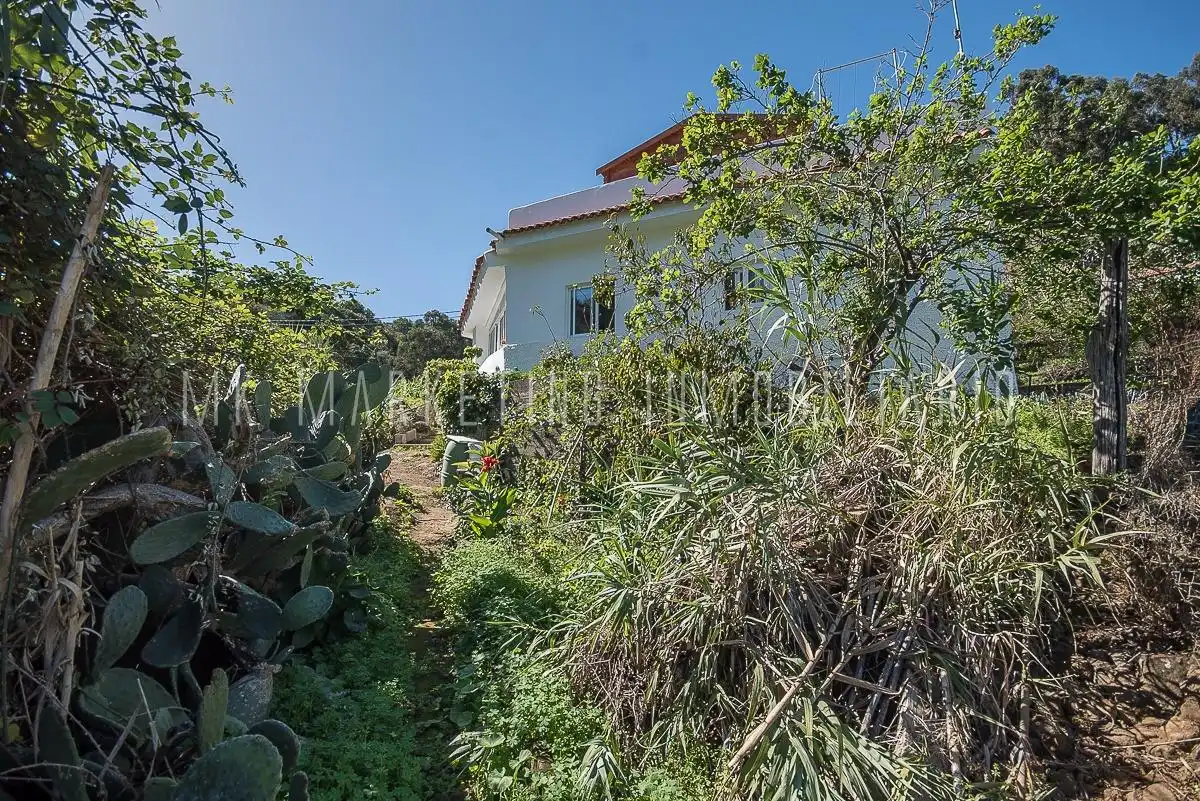 Jardín de Casa o chalet en venta en Moya (Las Palmas) con Jardín privado, Terraza y Trastero