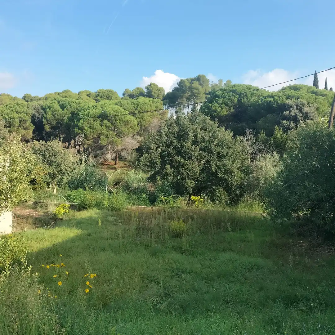 Residential land for sale in Carretera Sagrera 28, imagen 6