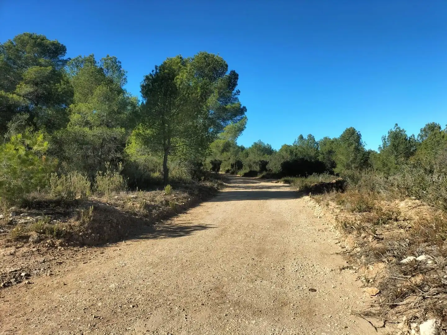 Terreno rustico in vendita a Polígono 7 Parcela 82 LOMA FERRER. NAVARRES (VALE 7, imagen 12