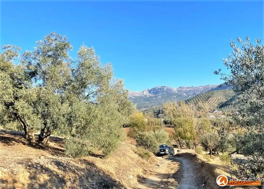 Exterior view of Land for sale in Villanueva del Rosario