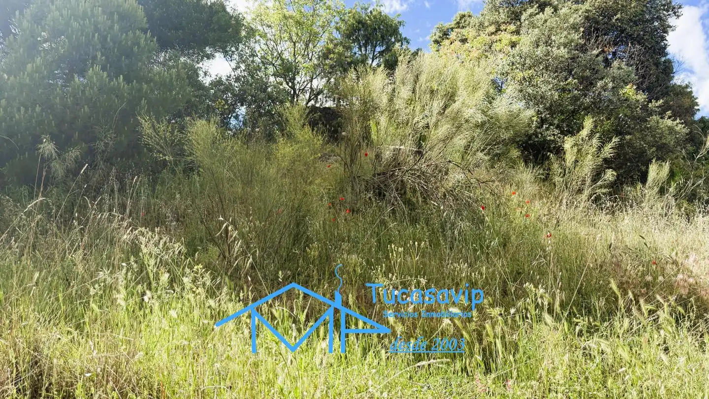 Terreni e lotti in vendita a El Tiemblo, imagen 18