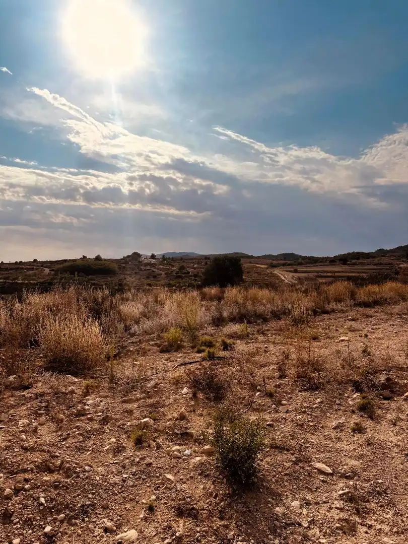 Terrain rustique à vendre à Campo de Murcia, imagen 10