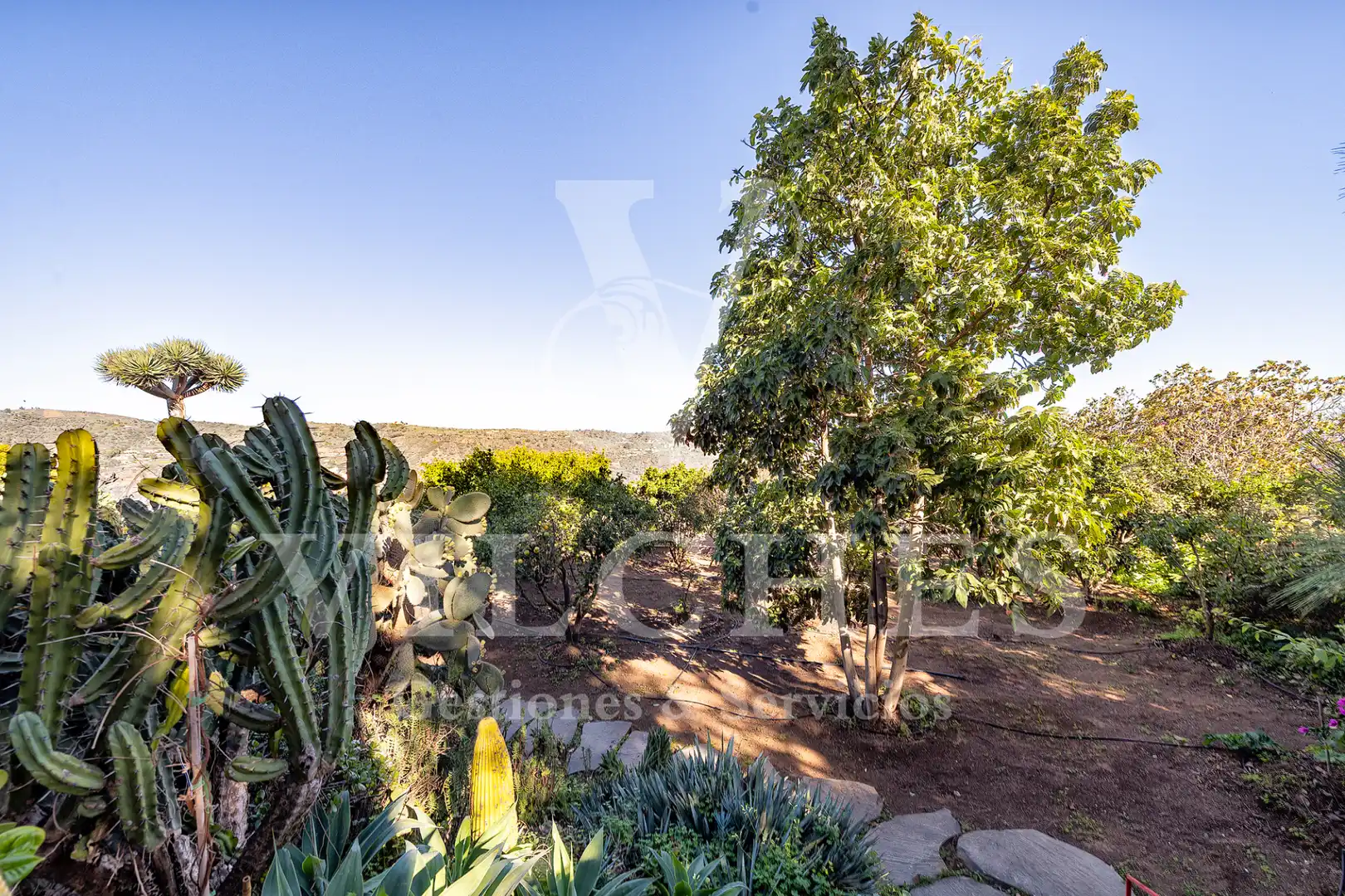 Jardí de Casa o xalet en venda en Santa Brígida amb Jardí privat, Terrassa i Traster