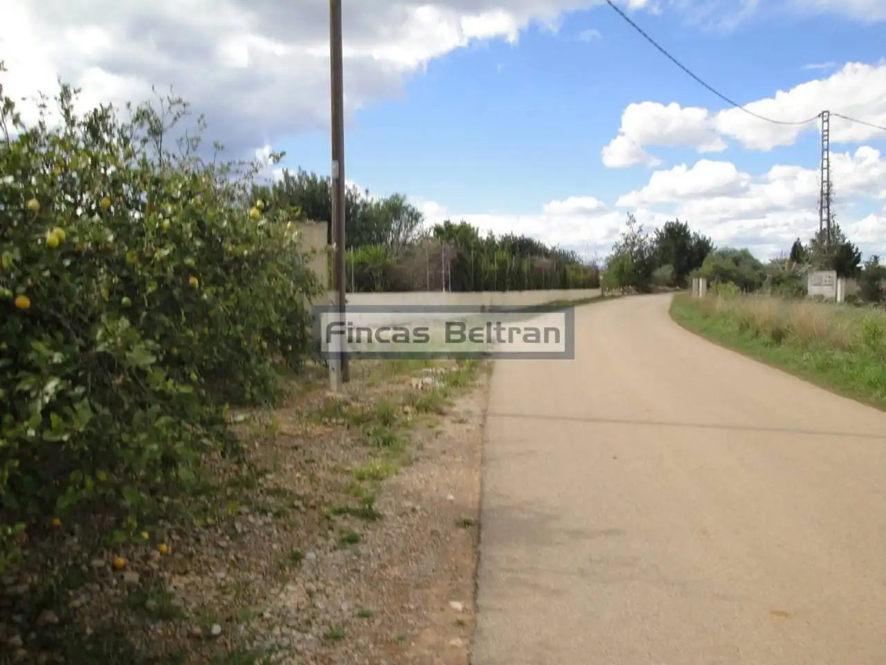 Rural land for sale in Poligono 18, PARCELA 153, imagen 7
